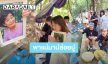 สุดอบอุ่น! “บอย - หน่อง - น้องวันใหม่” พา “แม่งามทิพย์” ไปทำบุญปล่อยปูกลับคืนสู่ธรรมชาติ