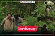 “แดนสาป THE CURSED LAND” หนังน่าดู ยกกองถ่ายบุกสถานที่จริง