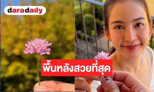 เปิดโมเมนต์น่ารัก “อาเล็ก-โบว์” หวานเว่อร์คนโสดตายเรียบ