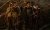 "The Maze Runner" จากหนังสือชุดสุดฮิตสู่ภาพยนตร์จอยักษ์สุดอลังการ