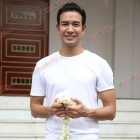 เหล่าเพื่อนดาราแห่ร่วมงานบวช "เกรท วรินทร"