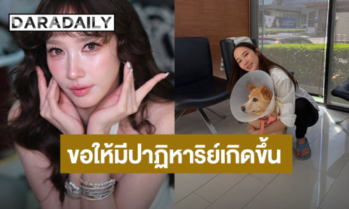 “อั้ม พัชราภา” แจ้งข่าวร้าย “น้องถั่ว” สุนัขตัวโปรดเป็นมะเร็ง