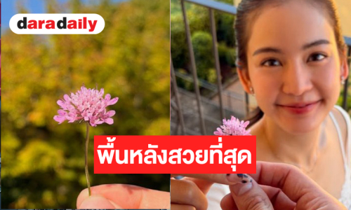 เปิดโมเมนต์น่ารัก “อาเล็ก-โบว์” หวานเว่อร์คนโสดตายเรียบ