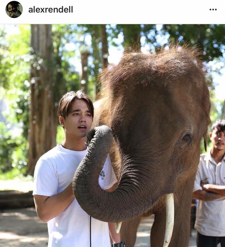 นิว เวียร์ อเล็กซ์ ติ๊ก หมาก หลุยส์