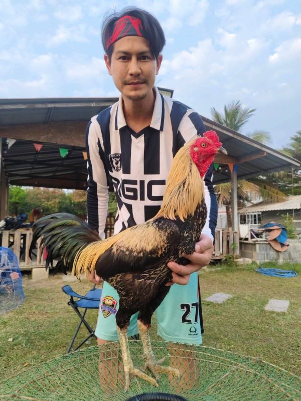 น้ำ รพีภัทร หนุ่ม ศรราม น้ำ รพีภัทร หนุ่ม ศรราม