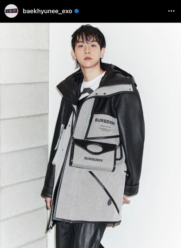 แบคฮยอน EXO EXO-L SM Entertainment