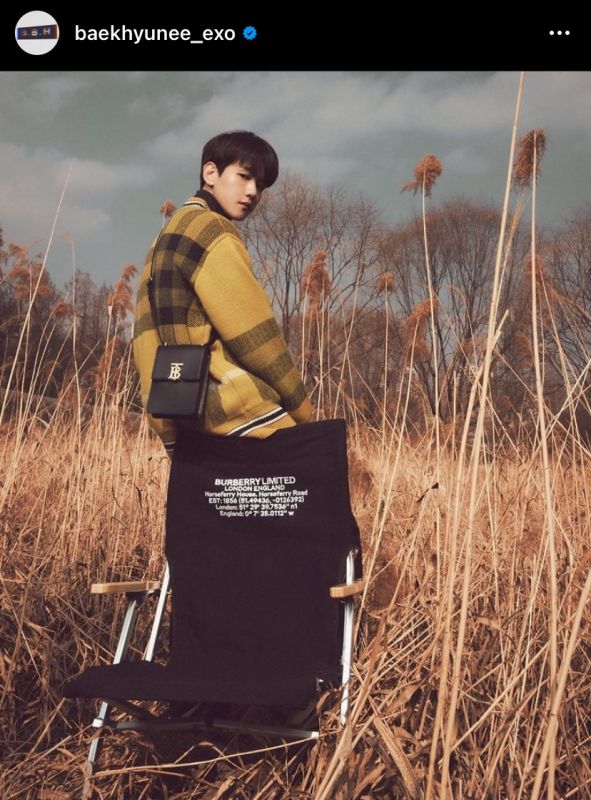 SM Entertainment แบคฮยอน EXO