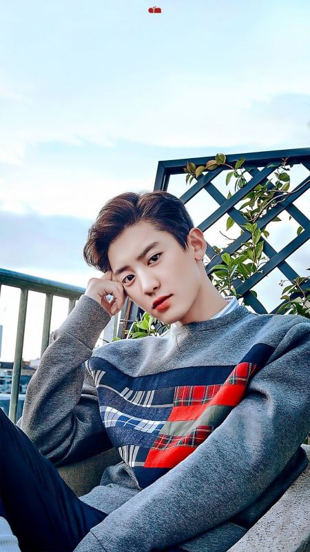 ชานยอล EXO ออกจากกรม