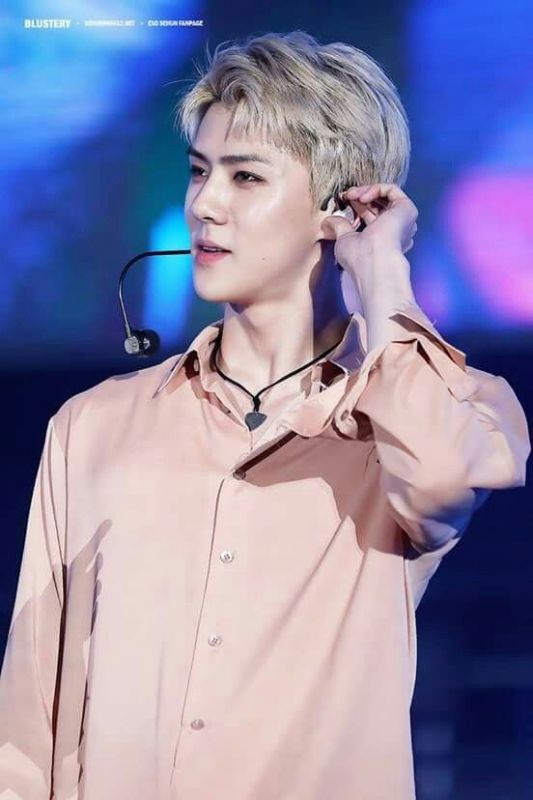 Sehun  อ้อน น้องเล็ก ความน่ารัก EXO-L