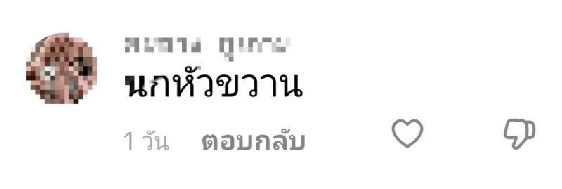 เก่ง ธชย