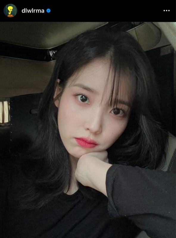 IU K-POP บริจาค