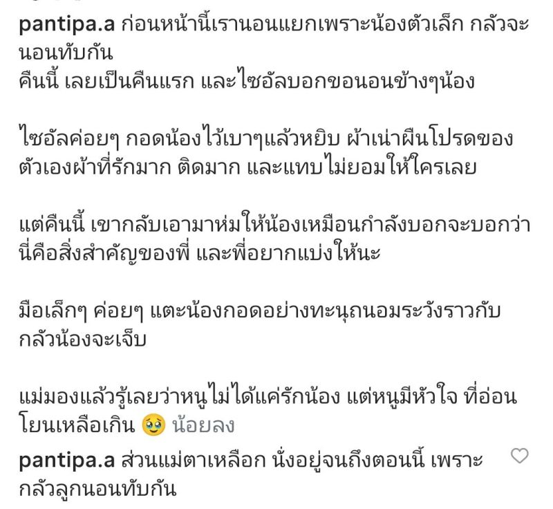 ปุ้มปุ้ย พรรณทิพา