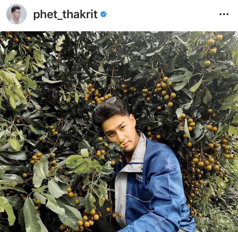 เพชร ฐกฤต ฝึกงาน ชาวสวน