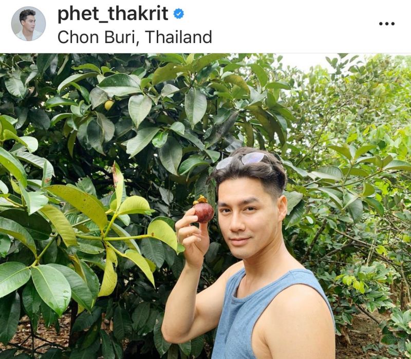 เพชร ฐกฤต ฝึกงาน ชาวสวน