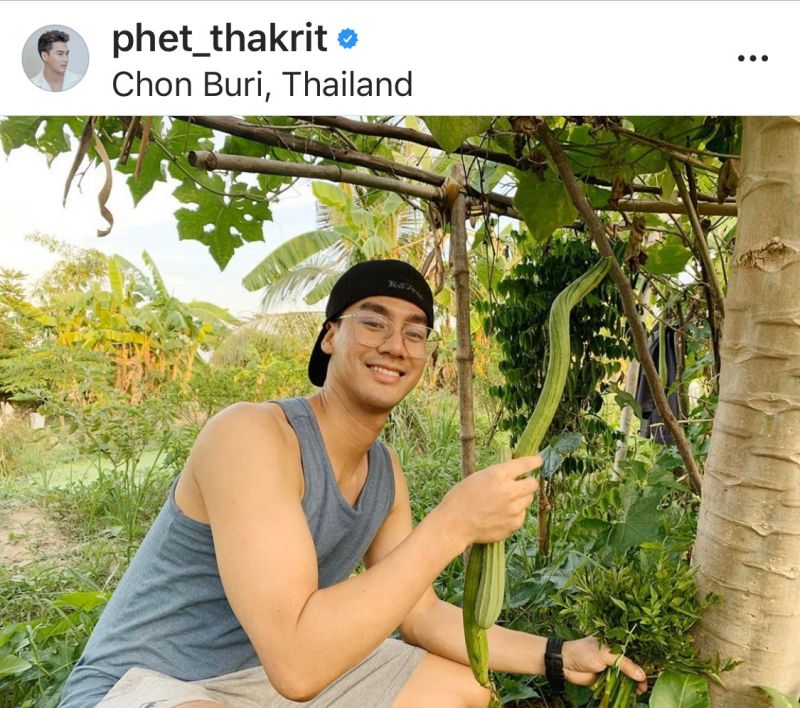 เพชร ฐกฤต ฝึกงาน ชาวสวน