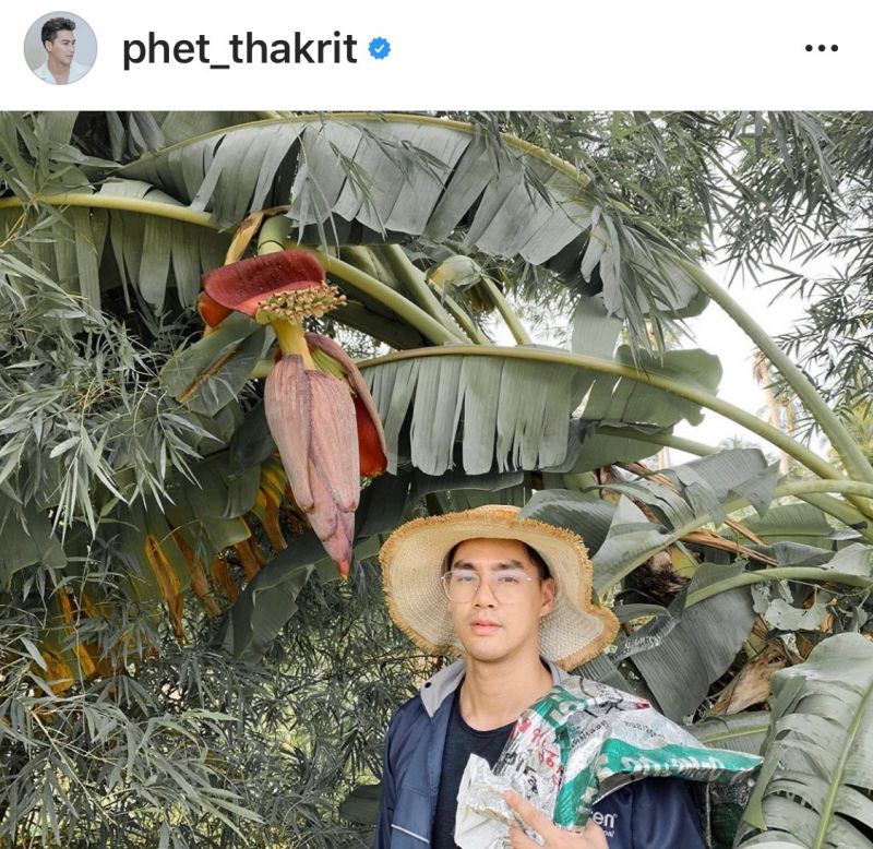 เพชร ฐกฤต ฝึกงาน ชาวสวน