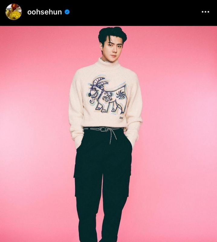 เซฮุน EXO ซีรีส์เกาหลี