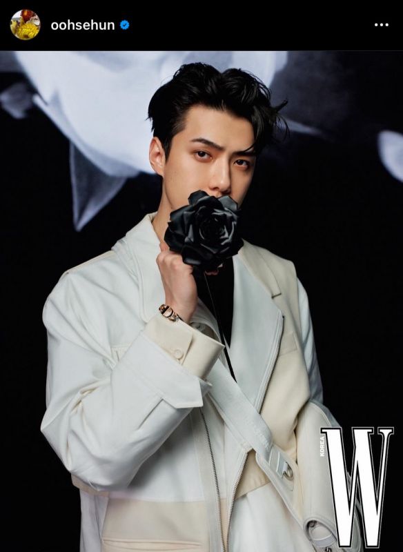 เซฮุน EXO ซีรีส์เกาหลี