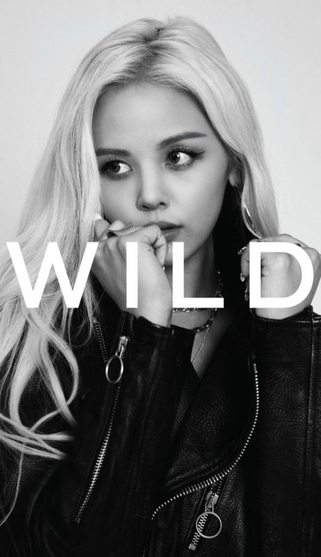 สร CLC สร ชลนสร WILD Entertainment K-POP