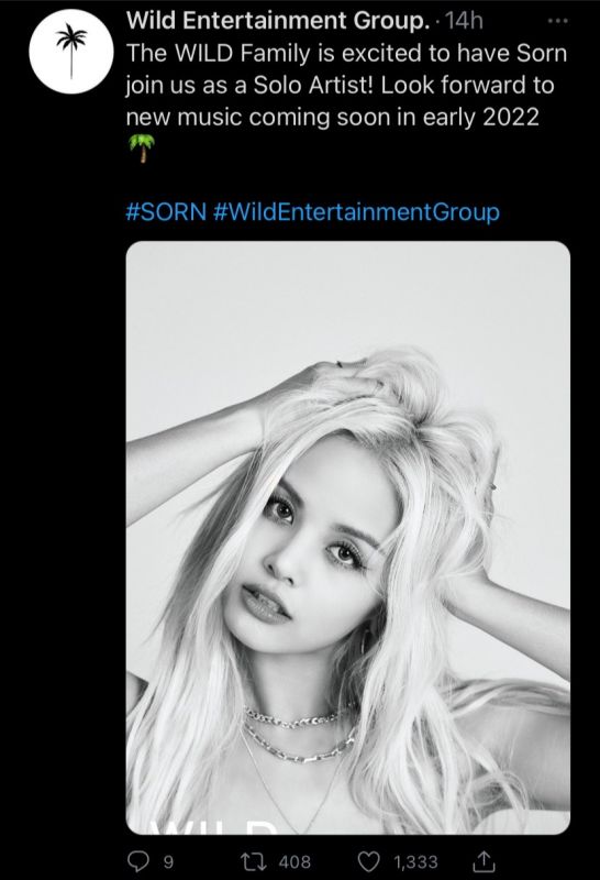 สร CLC สร ชลนสร WILD Entertainment K-POP