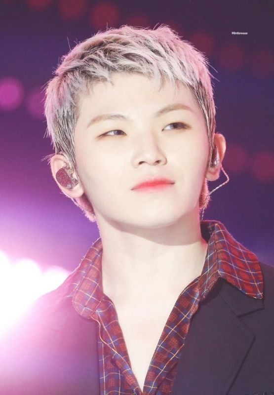 Woozi (SEVENTEEN) 