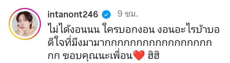 ใบเฟิร์น อินทนนท์