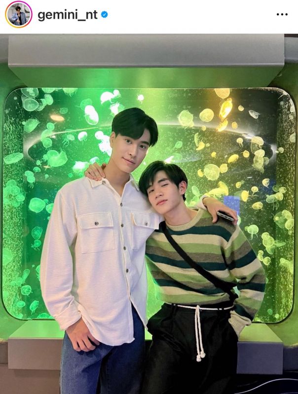 เจมีไนน์ โฟร์ท 