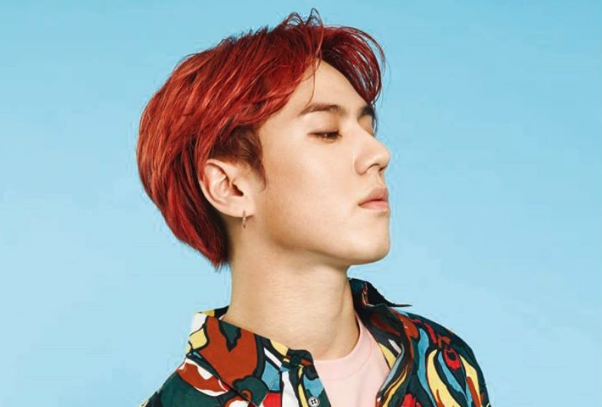 ไอดอลอายุน้อย น้องเล็ก ไอดอล ศิลปินเกาหลี แดนกิมจิ แฟนคลับ