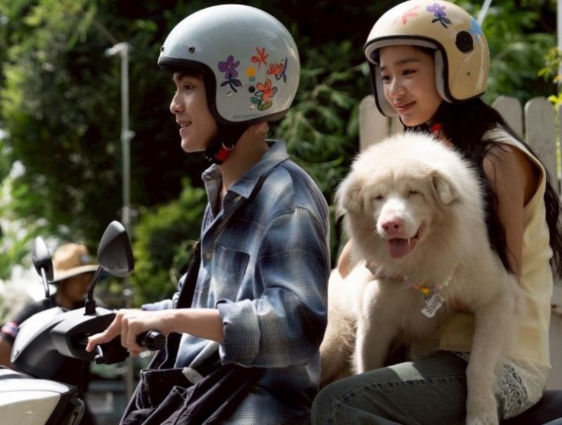 รายได้หนัง