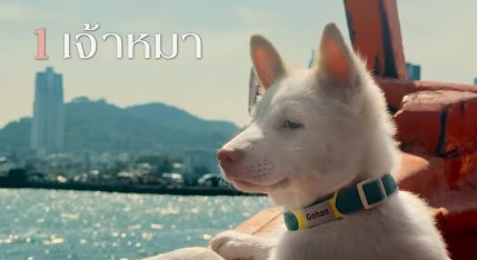 โกฮังหัวใจโกโฮม