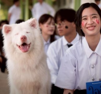 เจ้านาย ตู ต้นตะวัน เจ้านาย ตู ต้นตะวัน