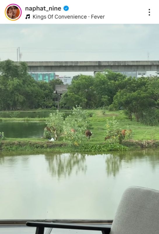 นาย ณภัทร