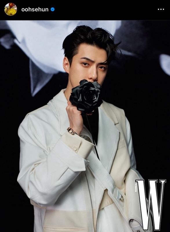 SM Entertainment เซฮุน EXO